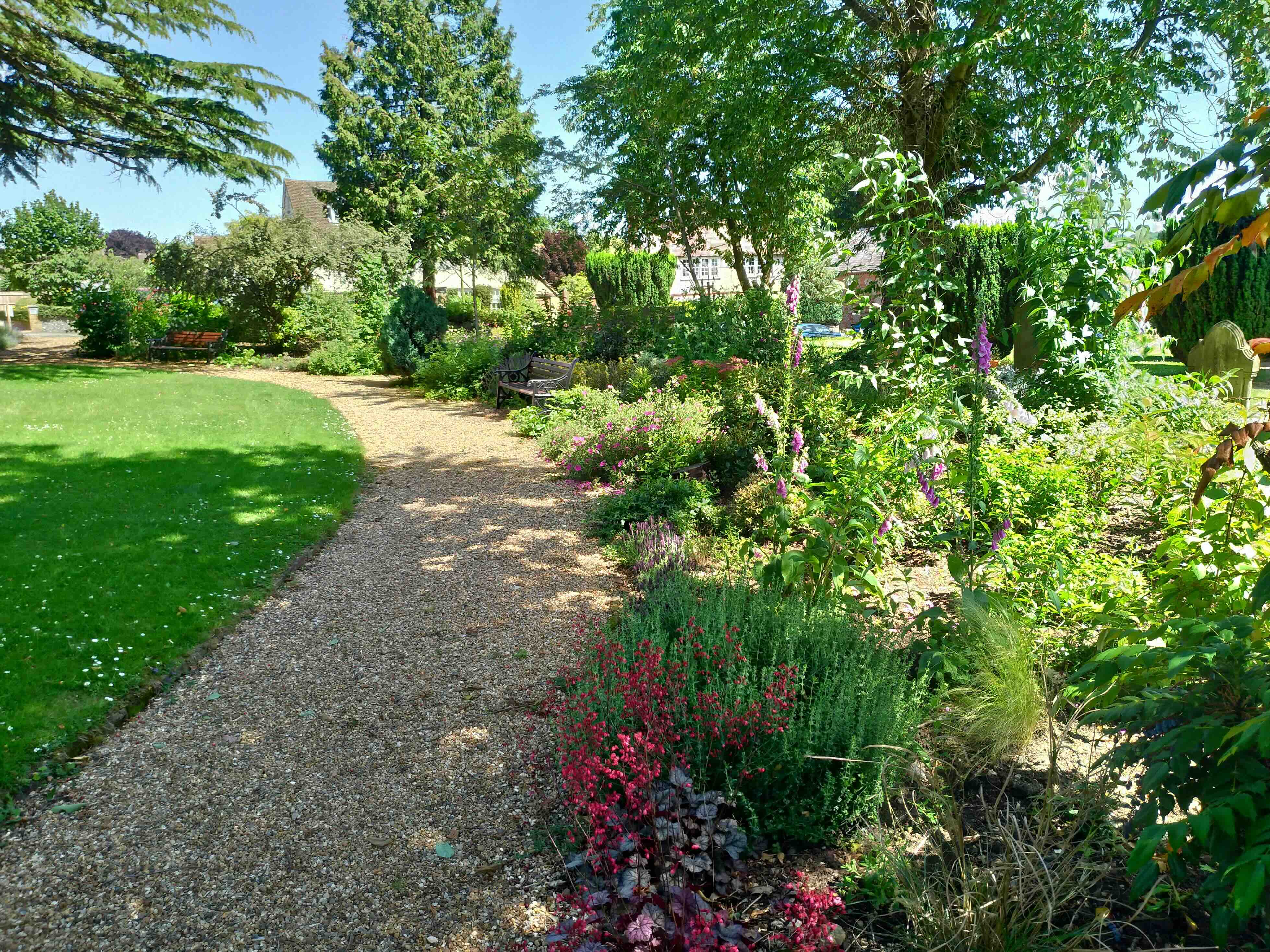 Pathway and lawn installation — Island Green Services